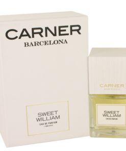 Sweet William by Carner Barcelona